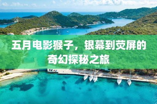 五月電影猴子,銀幕到熒屏的奇幻探秘之旅